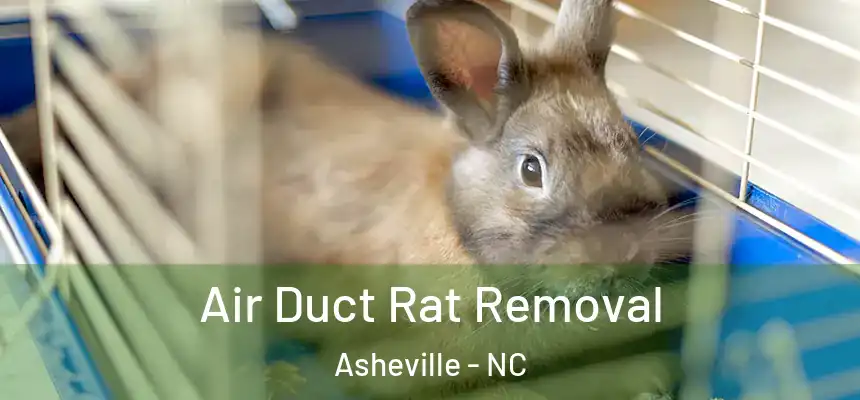 Air Duct Rat Removal Asheville - NC