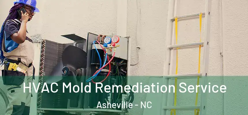 HVAC Mold Remediation Service Asheville - NC
