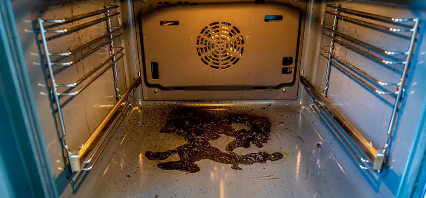 Our Dryer Vent Mold Cleaning Services in Asheville, NC