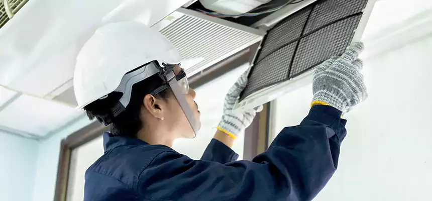 Our Mold & Mildew Removal from Air Ducts Services in Asheville, NC