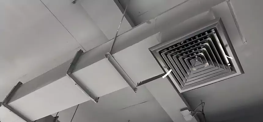 Our Rodent Droppings In Vents Services in Asheville, NC