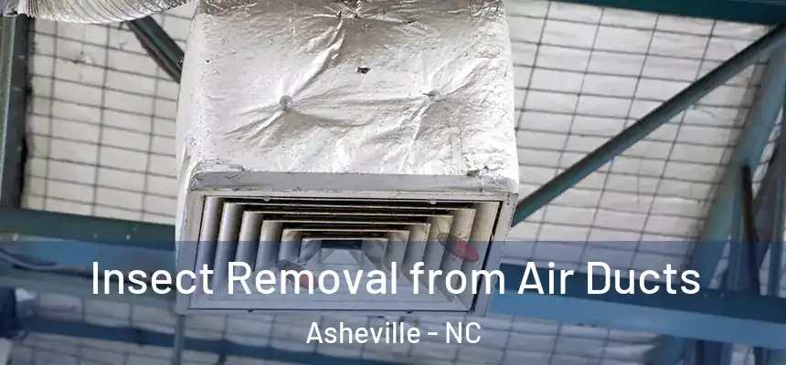 Insect Removal from Air Ducts Asheville - NC
