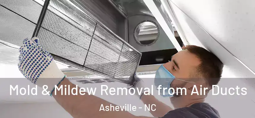 Mold & Mildew Removal from Air Ducts Asheville - NC