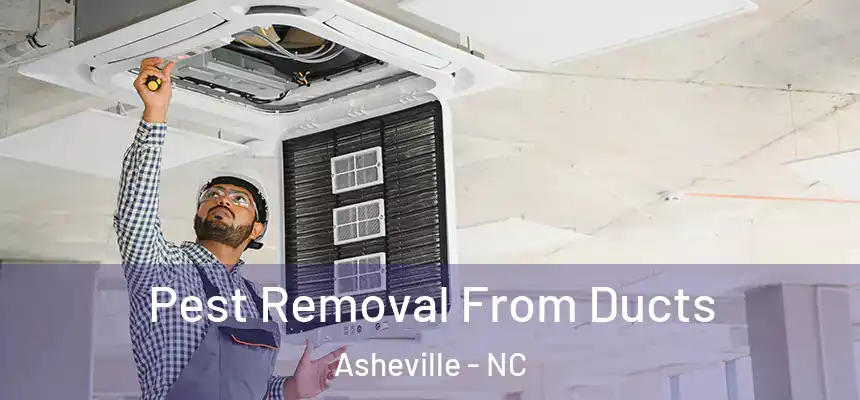 Pest Removal From Ducts Asheville - NC