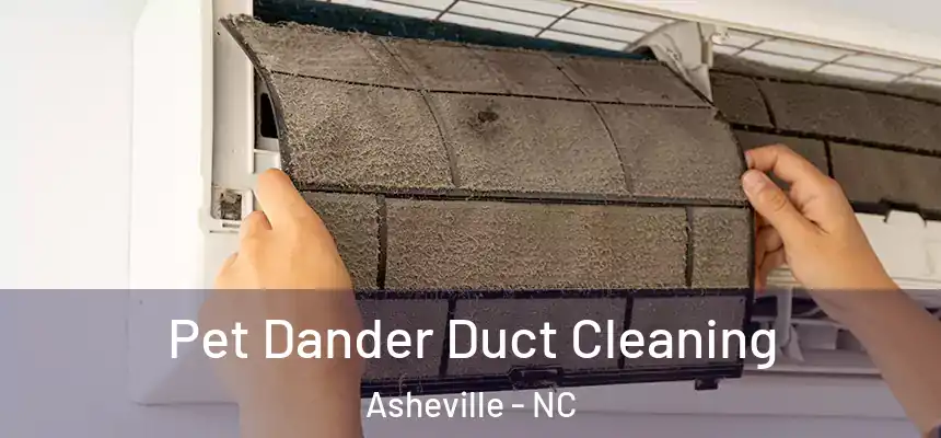 Pet Dander Duct Cleaning Asheville - NC