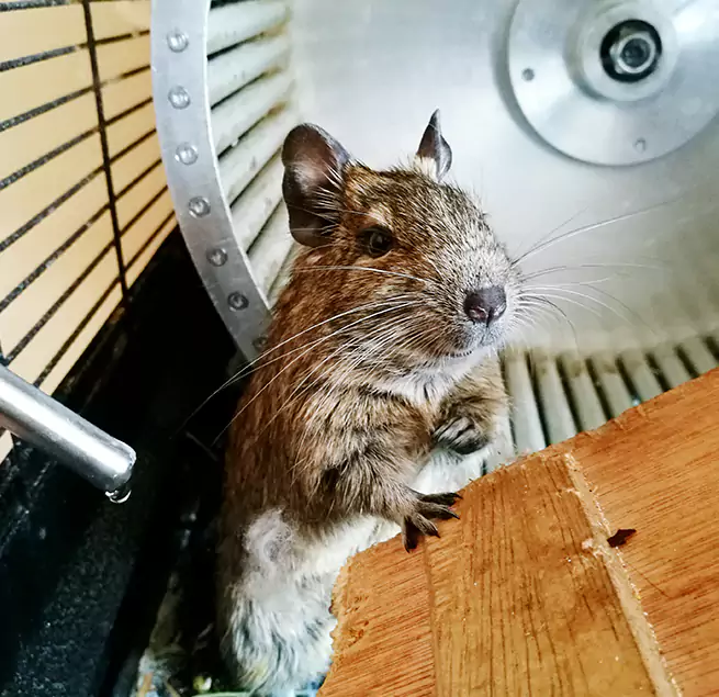 Why Homeowners & Businesses Trust Us Asheville, NC