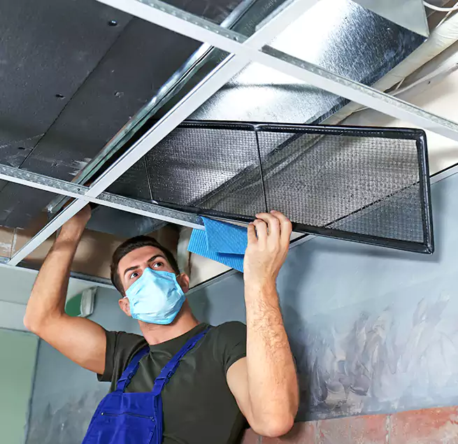 Why Homeowners Businesses Trust Us in Asheville, NC