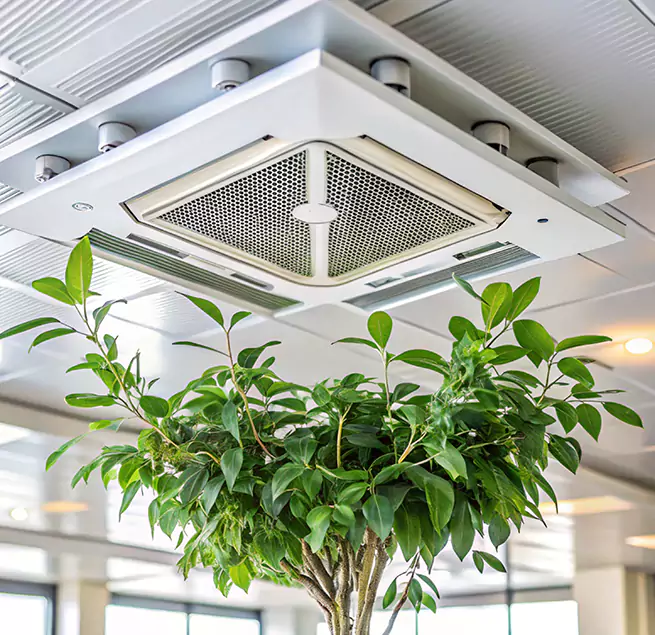 Why Homeowners & Businesses Trust Us in Asheville, NC