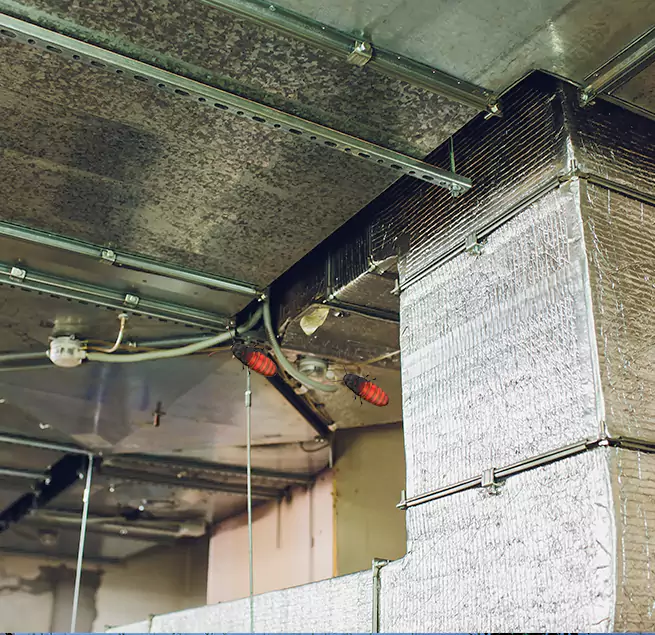 Why Homeowners & Businesses Trust Us Asheville, NC?