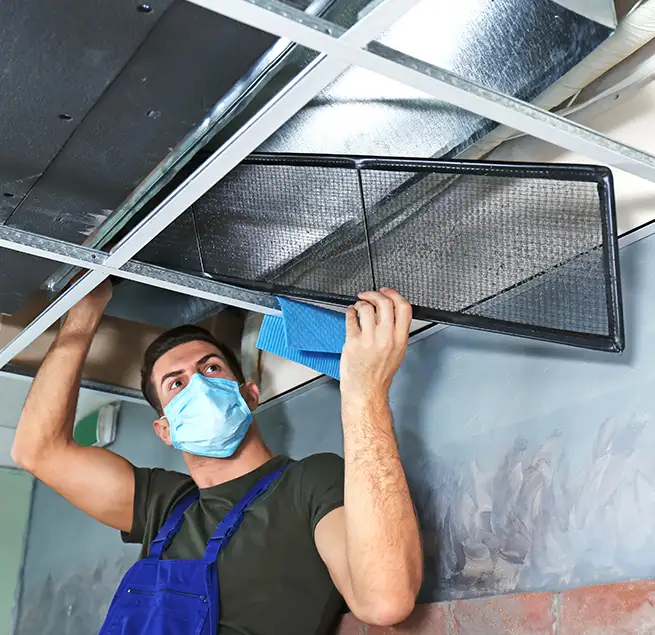 Why Homeowners & Businesses Trust Us in Asheville, NC?